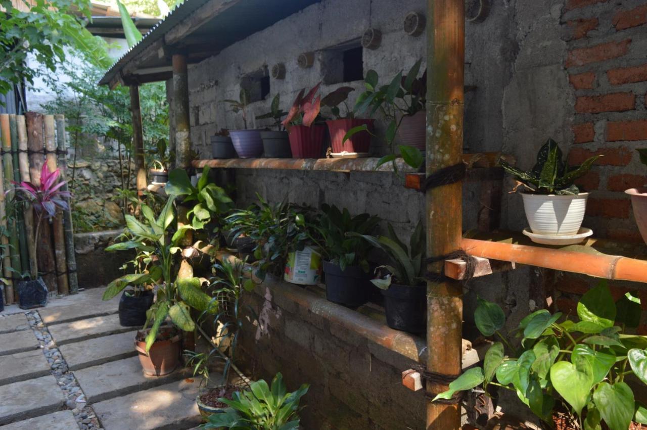 Labuan Bajo Mahoni Guesthouse エクステリア 写真